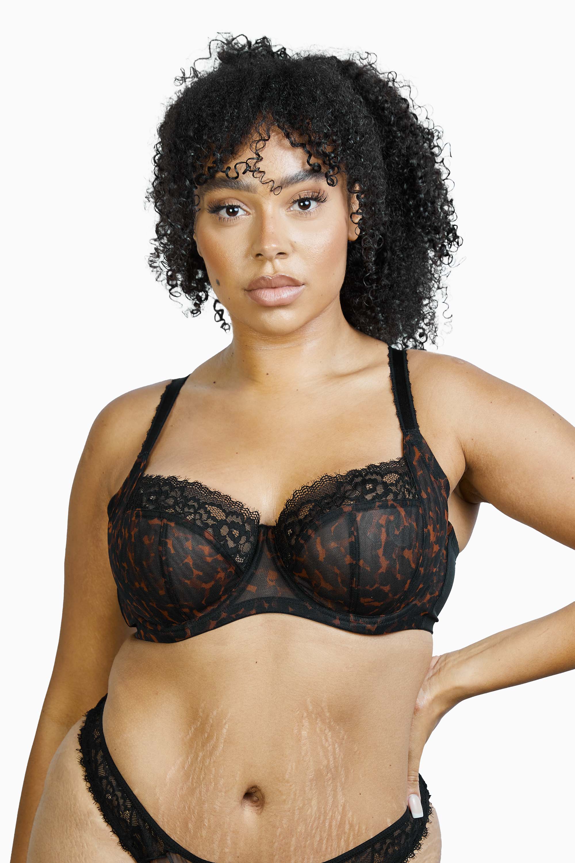 Rosalyn Black Tortoiseshell Lace Full Cup Bra - Image 4