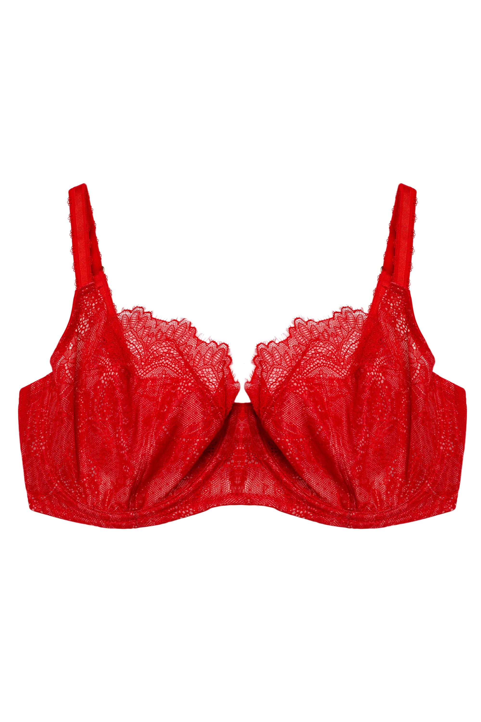 Rosalyn Red Balcony Bra - Image 15