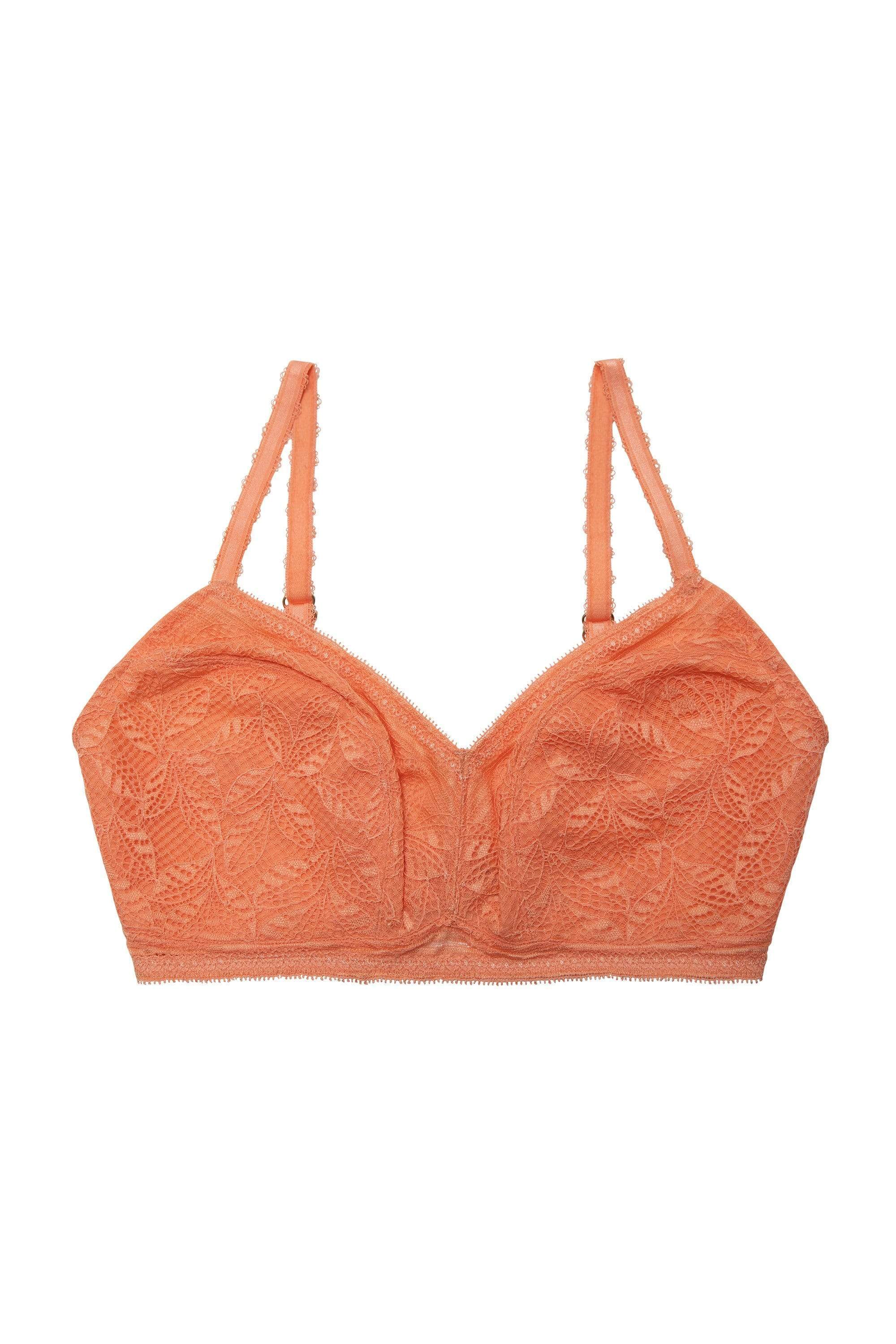 Emma Coral Lace Wireless Bra - Image 4