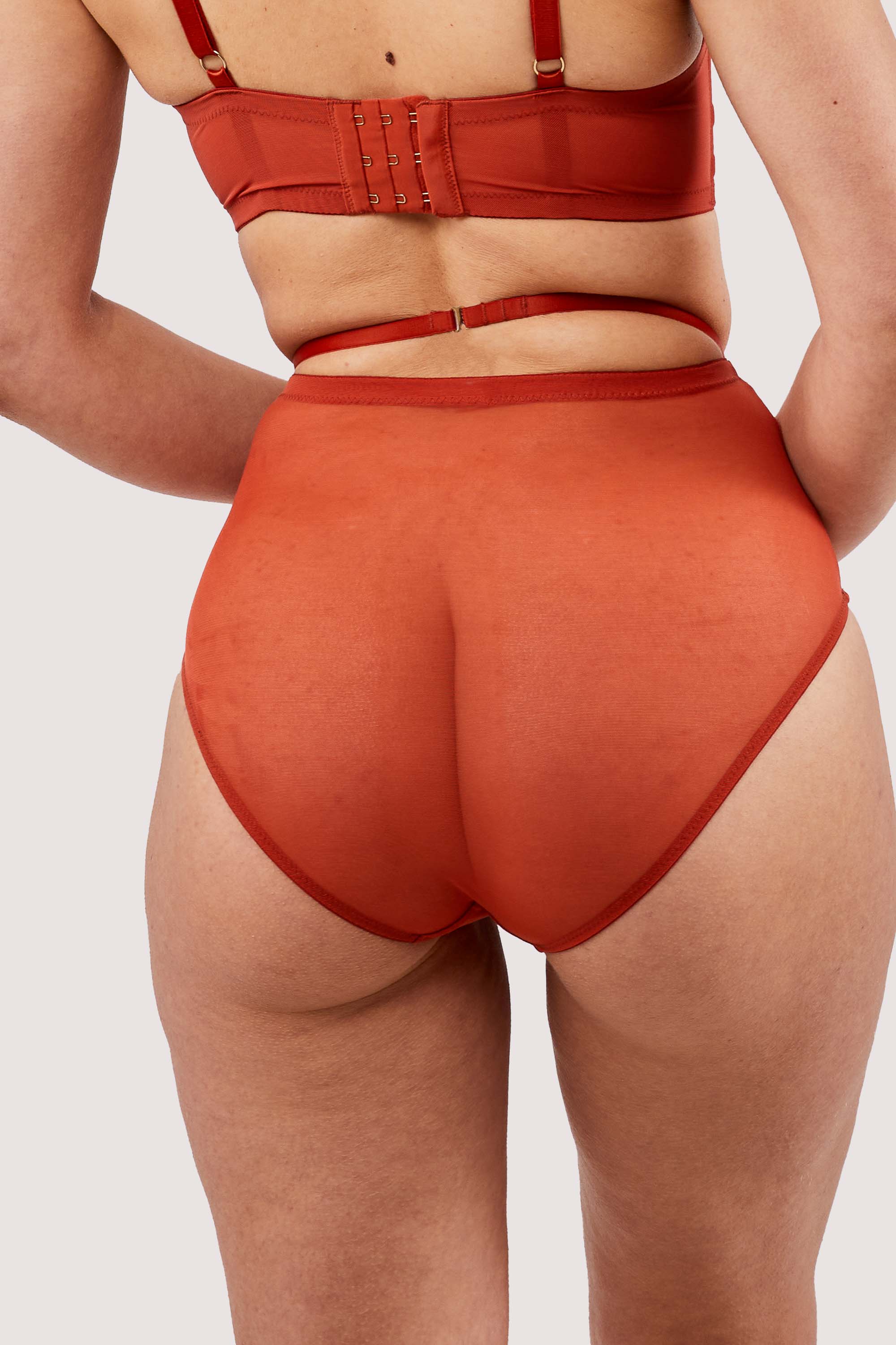Eddie Rust Crossover Wrap High Waist Brief - Image 2