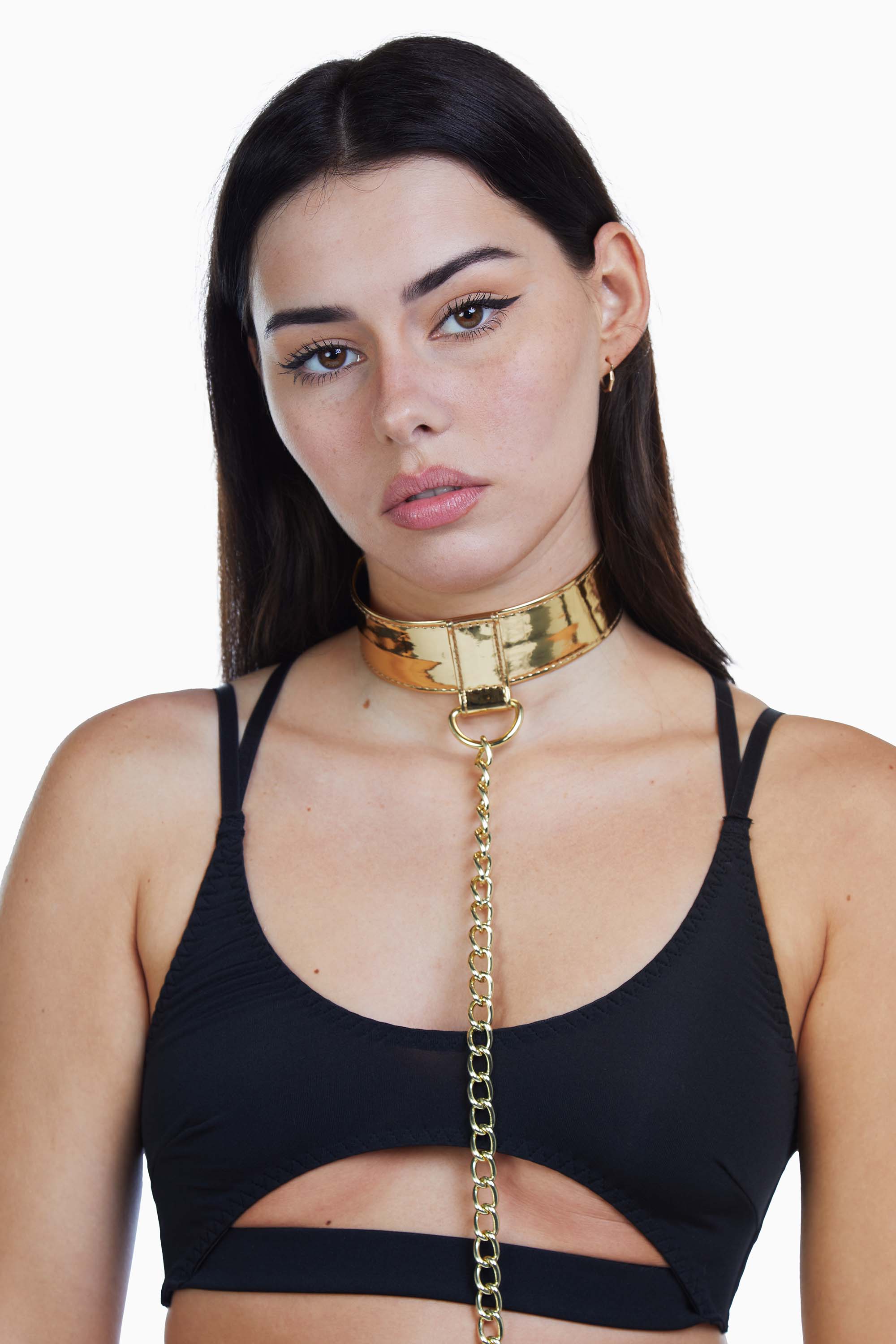 Gold PU Collar With Lead - Image 3