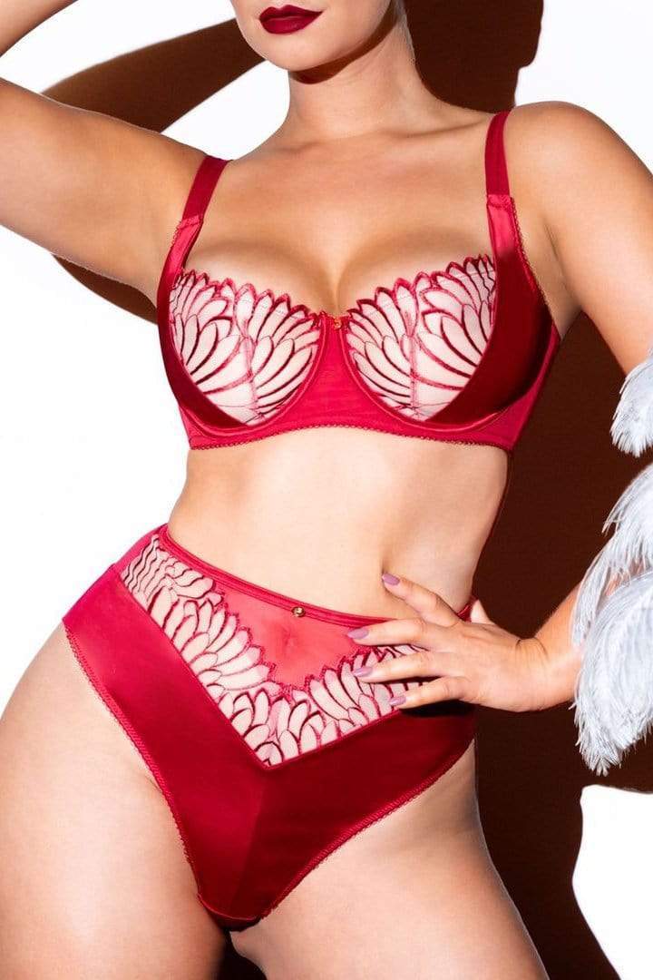 Scantilly Fallen Angel Red High Waist Brief - Image 2