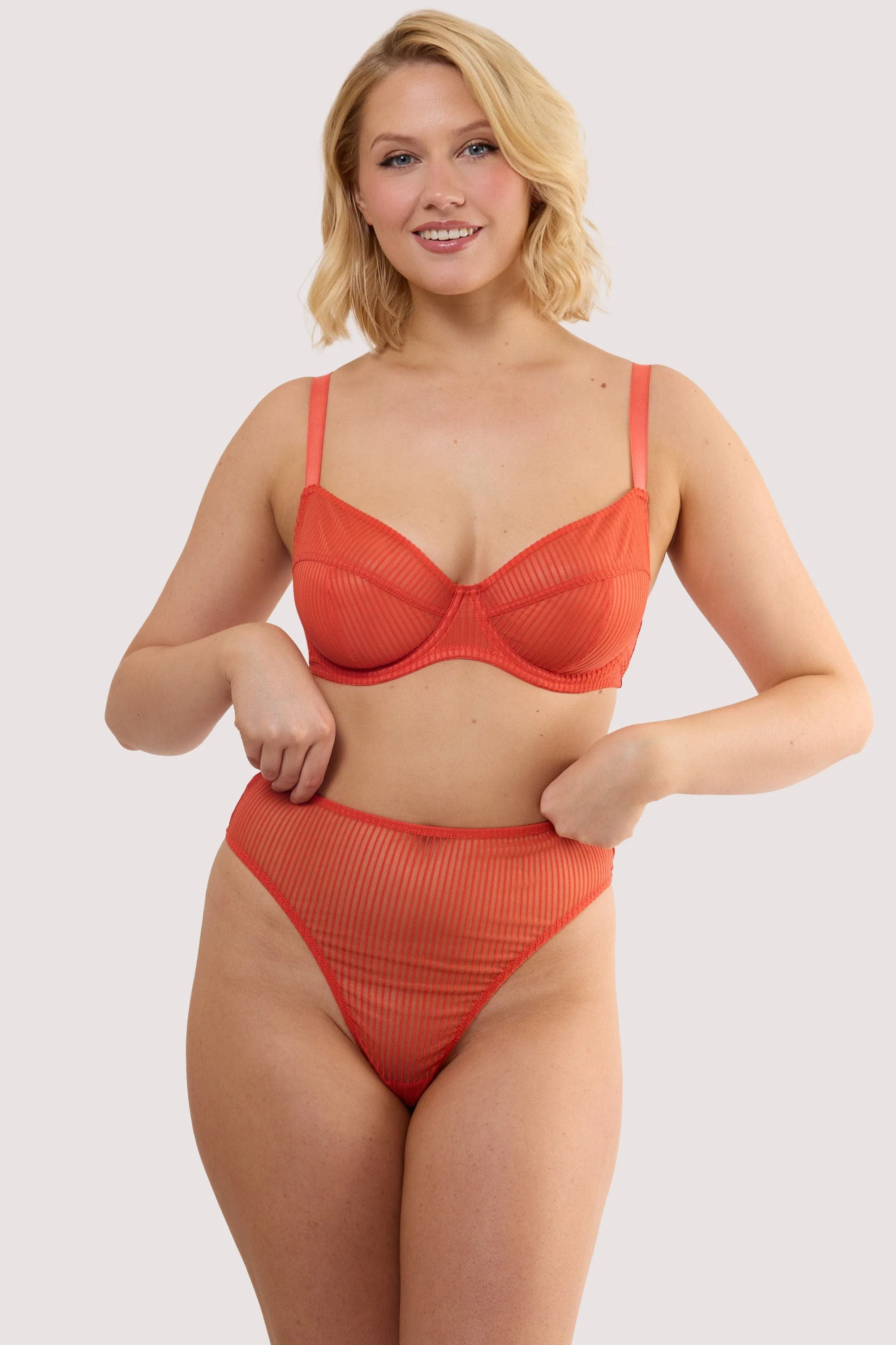 Veronica Red Microstripe High Waist High Leg Brief - Image 4