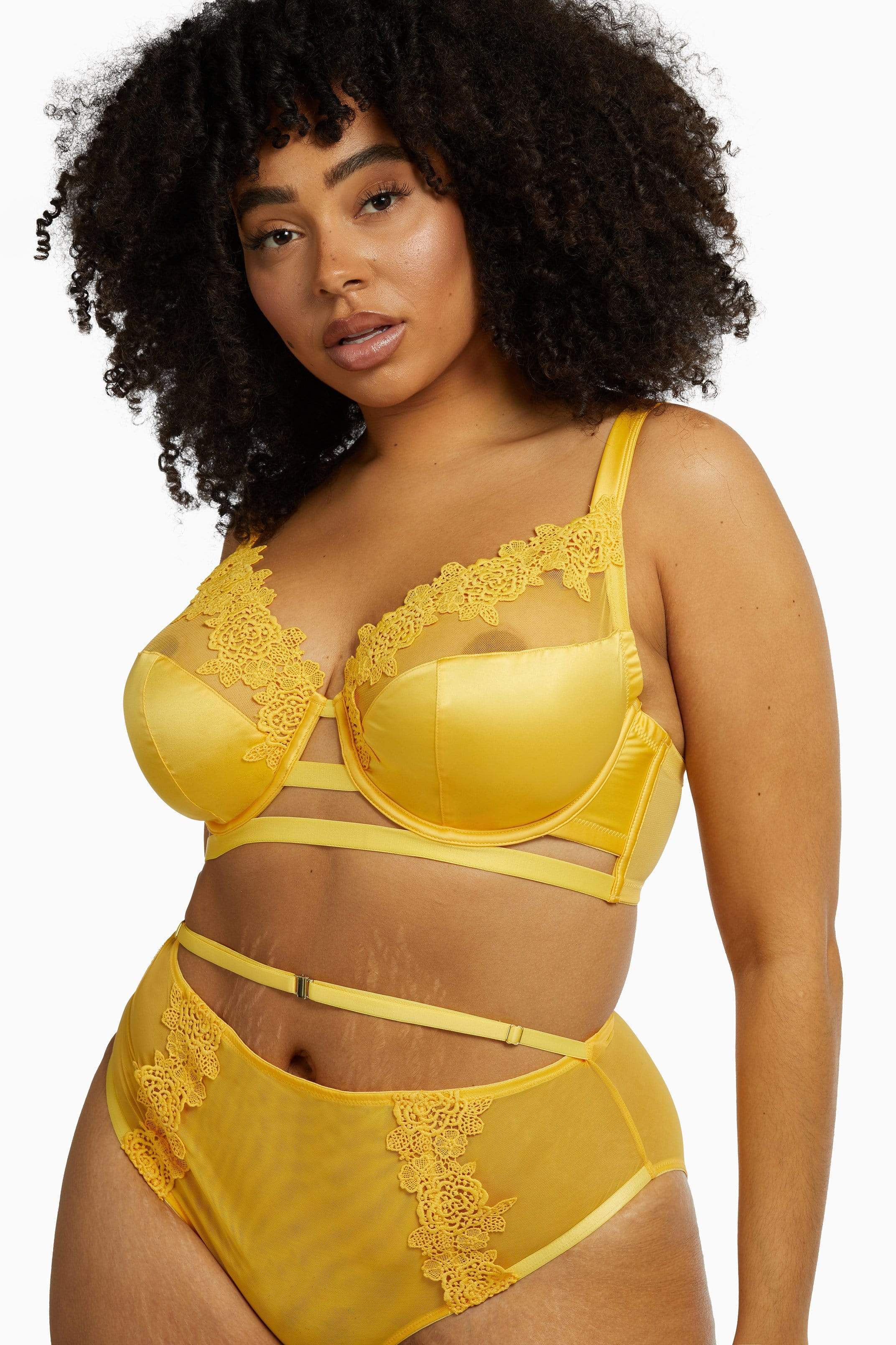 Vivienne Mustard Net Satin and Lace Trim Bra - Image 10
