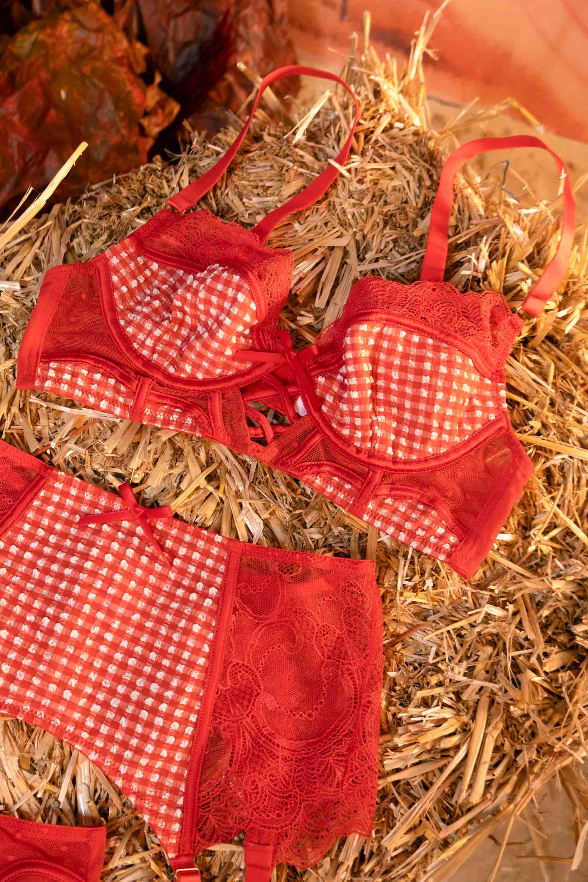 Adelaide Western Gingham And Lace Bra - Image 4